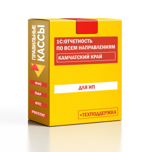Отчетность_ИП_Камчатский край